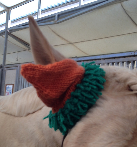 Carrot Top Horse Hat photo 1
