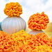 Giant Marigold pattern 