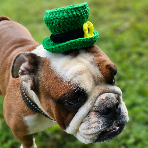 Mini Leprechaun Clip On Hat photo 6