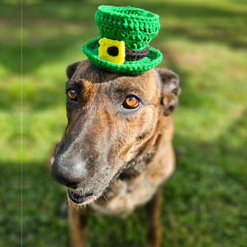 Mini Leprechaun Clip On Hat photo 2