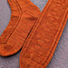 Path of Poppies Socks pattern 