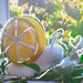 Cute Lemon Snail pattern 
