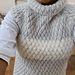 Alps Snapper Top pattern 
