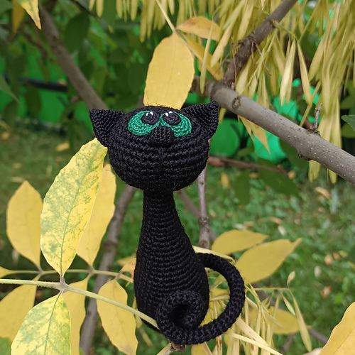 Svart katt - Julia Shoti