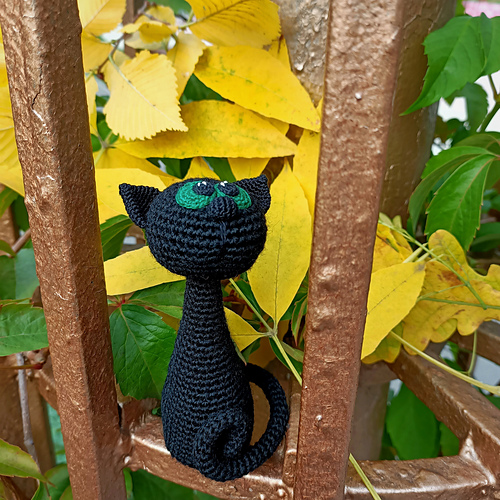 Svart katt - Julia Shoti