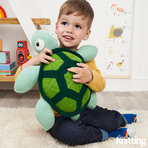 toy_turtle_medium.jpg