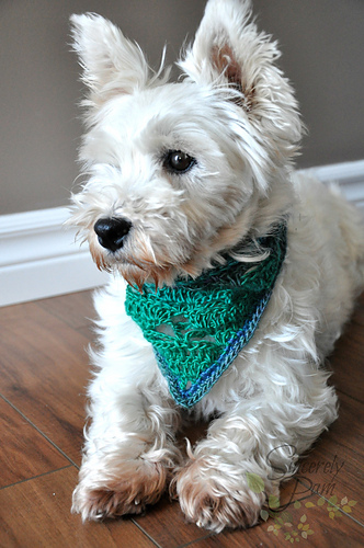 Rigby Scarf photo 1