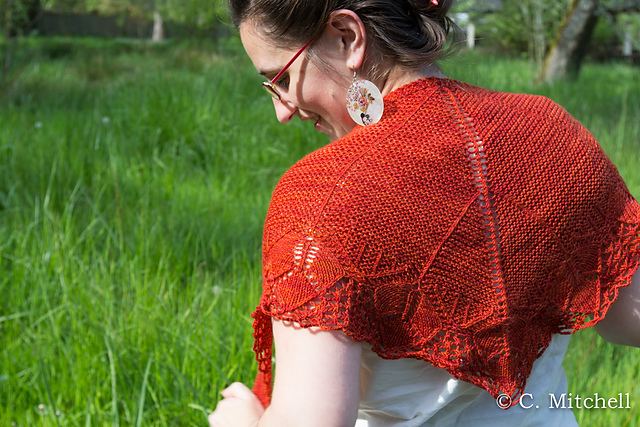 Aliénor Shawl