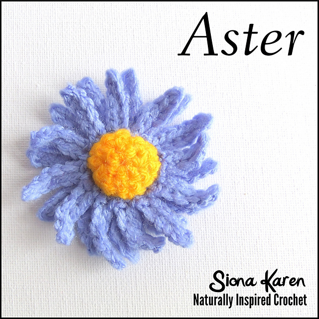 Aster