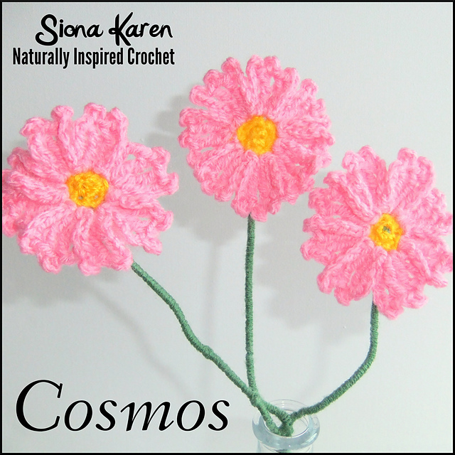 Cosmos