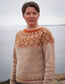 Luomejeaggi – Cloudberry Bog, showing the stranded colorwork yoke