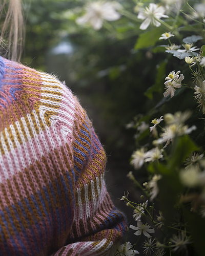 Fargefestgenseren - Ingvild Grane