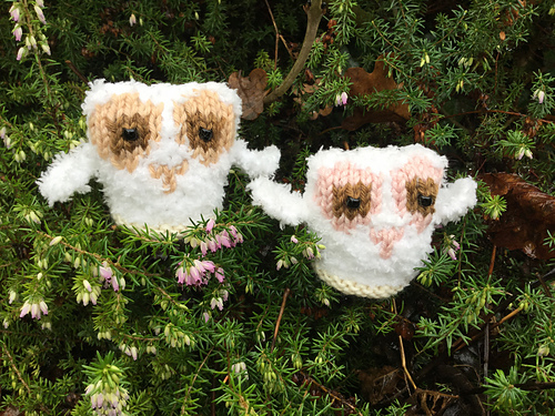 Little Owls - Oliver and Olivia photo 1