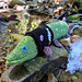Spike The Punk Pike pattern