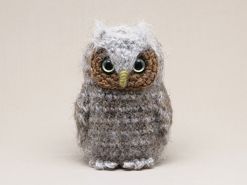 Bubu the owlet