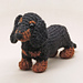 Toki the realistic Dachshund pattern 