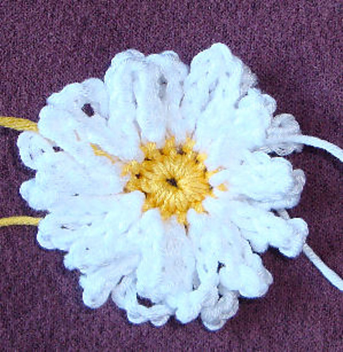 Double Layered Daisy photo 2