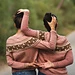 Merryland Sweater pattern 