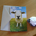 Knit Nation Mascots - Pug and Sheep photo 3