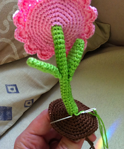 Flower photo 4