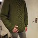 Druid's Grove Pullover pattern 