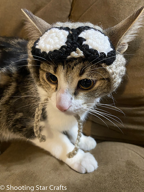 Ravelry: Aviator Cat Hat pattern by 