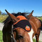 simple halloween horse bonnet crochet pattern free
