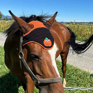 simple halloween horse bonnet crochet pattern free