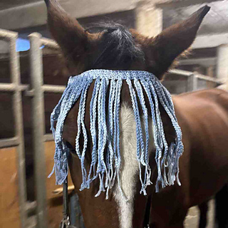 Horse Fly Fringe Crochet Pattern