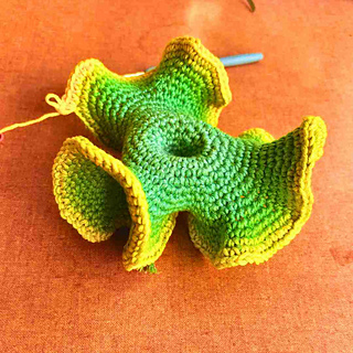 Hyperbolic Crochet 