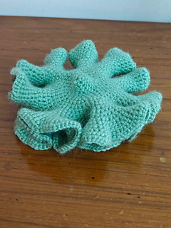How to crochet a hyperbolic plane