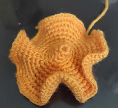 How to crochet a hyperbolic plane