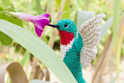 Q'inti the Hummingbird