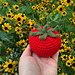 Tomato pattern