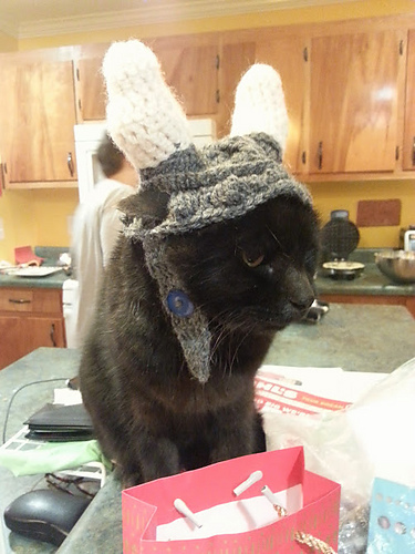 Dog Viking Hat photo 2