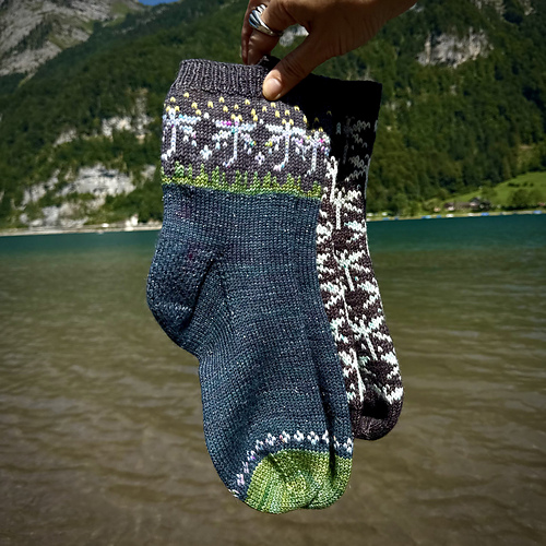 Magical Dragonflies sock set