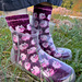 Herding Piggies socks pattern 