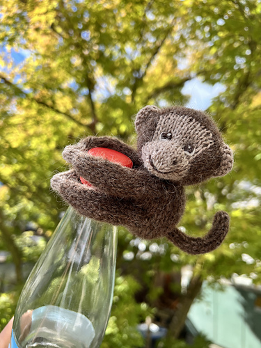 Stricknity Monkey Pattern