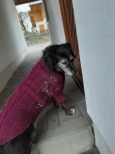 Hundepulli Maxi - dog sweater photo 4