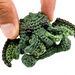 Mini Cthulhu photo 3