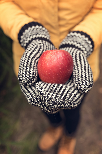 Tvebandvotter - Bladet garn