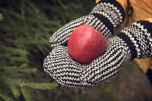 Tvebandvotter - Bladet garn