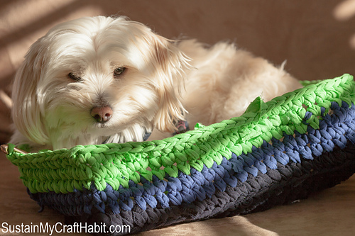 Crocheted T-shirt Yarn Baskets photo 2