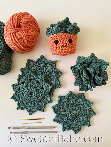 #358 Succulent Coaster Set