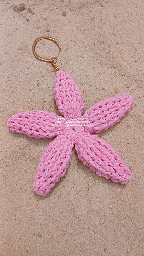 Tiny Starfish Treasure