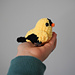 Pocket Goldfinch pattern