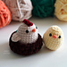 Pocket Chicken Family photo 4