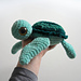Sea Turtle photo 4
