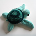 Sea Turtle photo 3