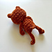 Leggy Teddy photo 4